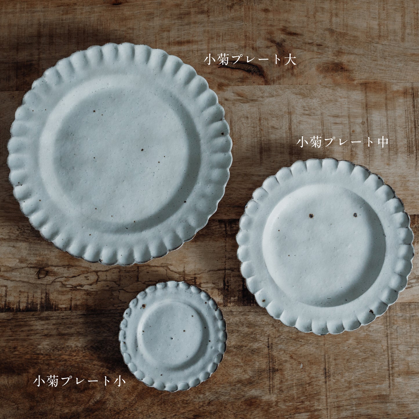小菊プレート shiromoegi 大