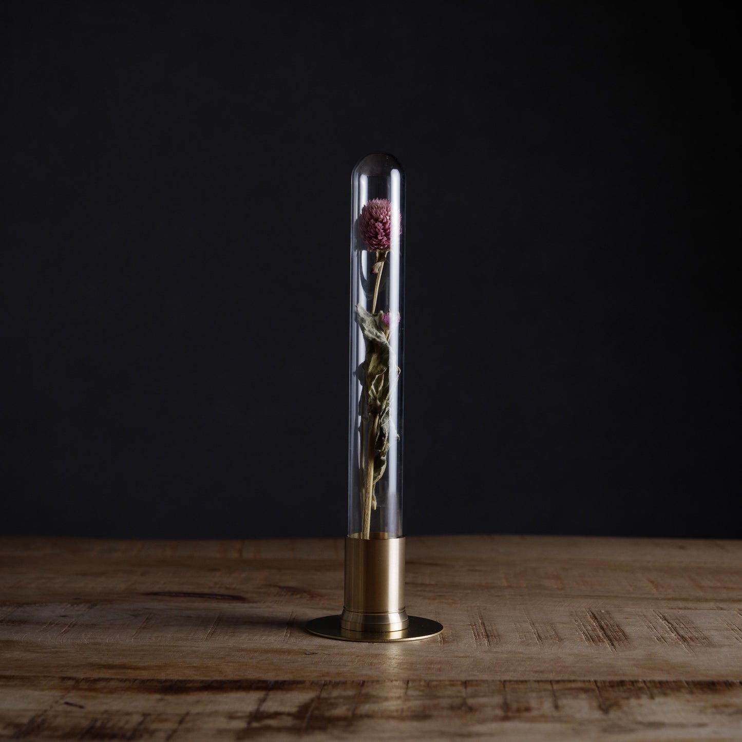 HERBARIUM BRASS GLASS DOME & FLOWER VASE SOLID(センニチコウ)