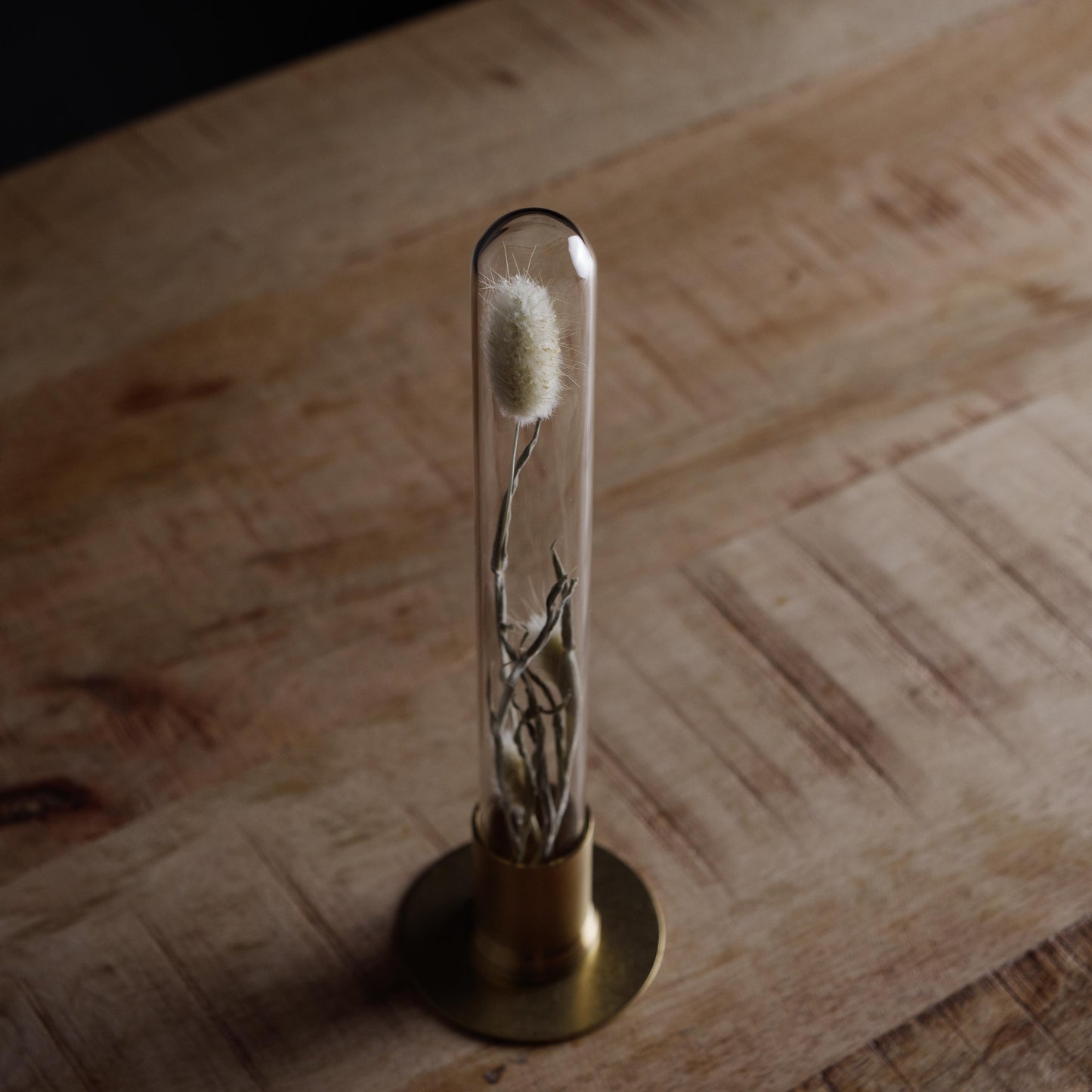 HERBARIUM BRASS GLASS DOME & FLOWER VASE SOLID(ラグラス)