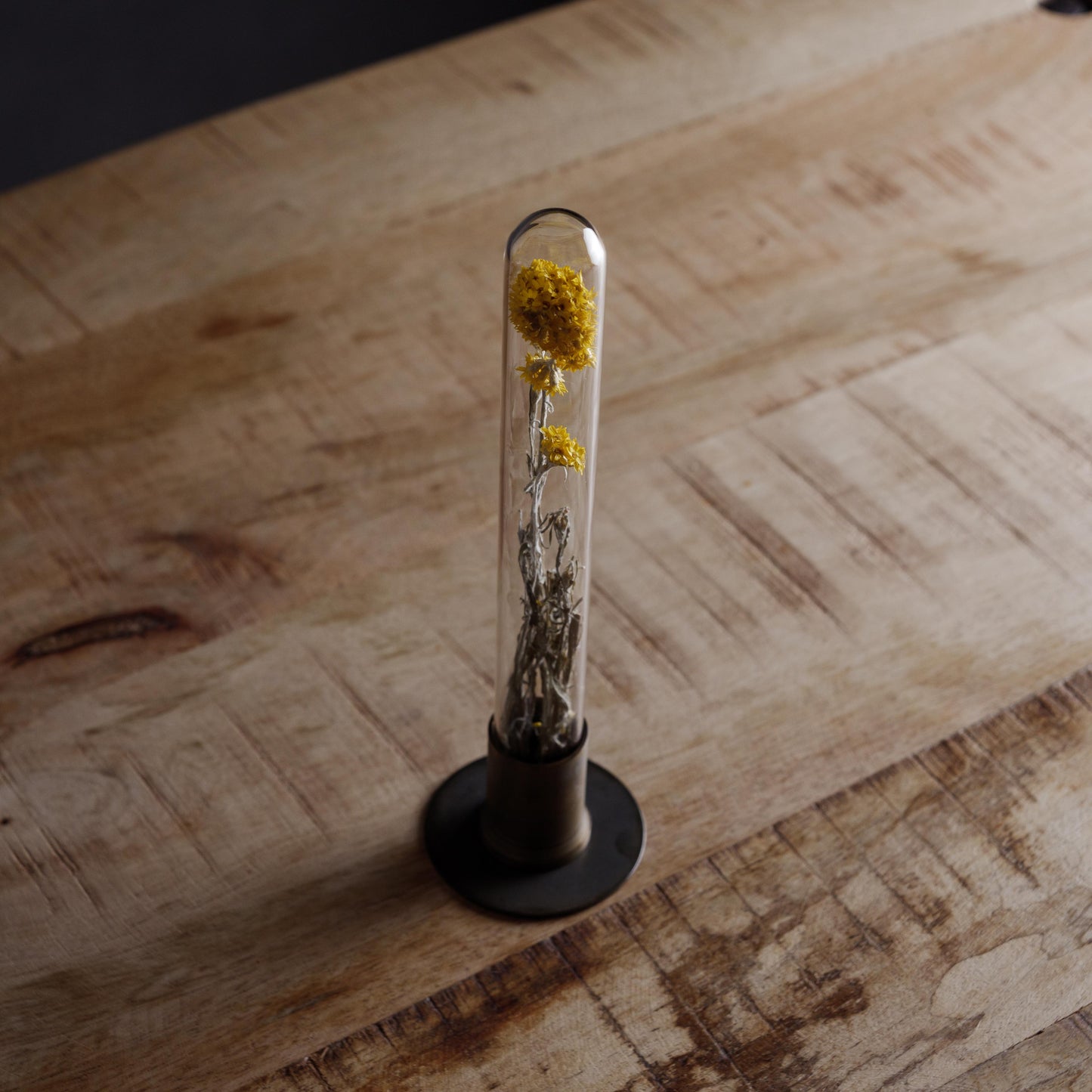 HERBARIUM BRASS GLASS DOME & FLOWER VASE RUST(ローダンセ)