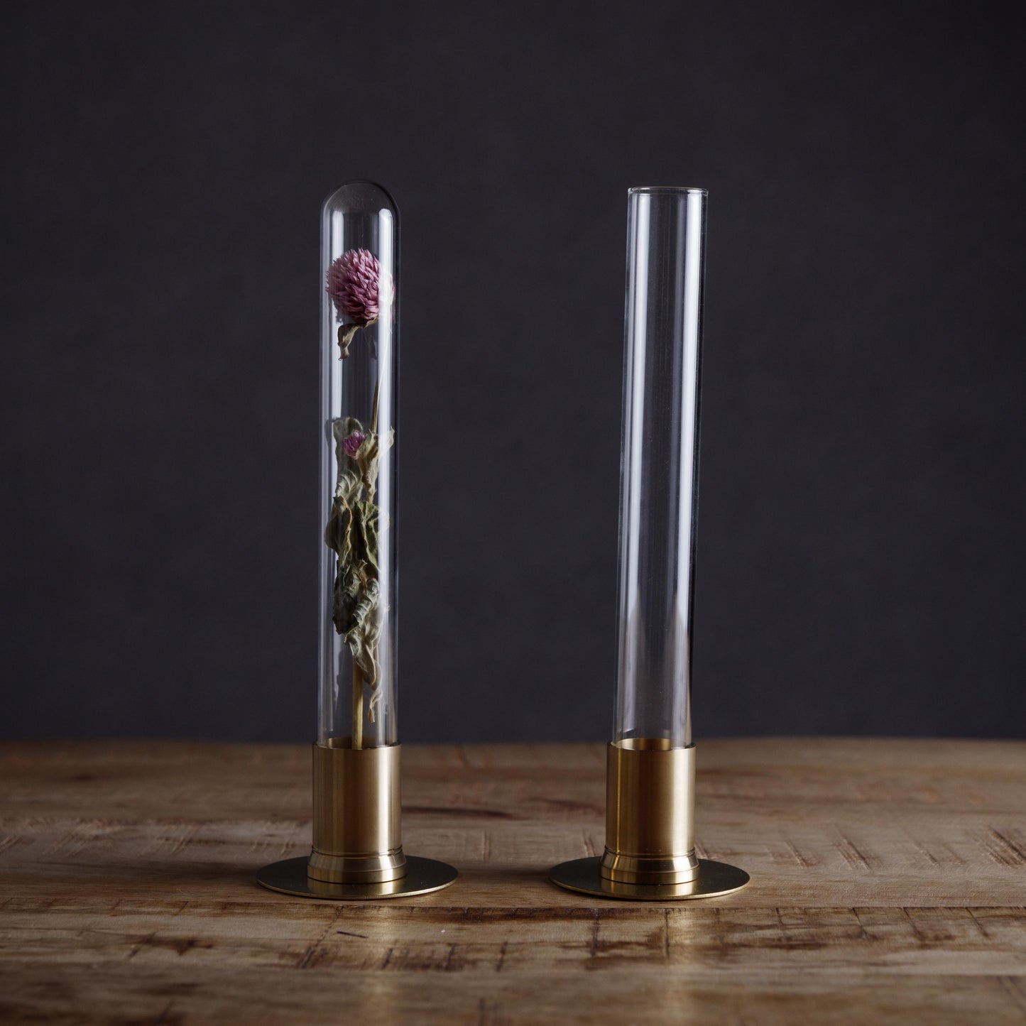HERBARIUM BRASS GLASS DOME & FLOWER VASE SOLID(センニチコウ)