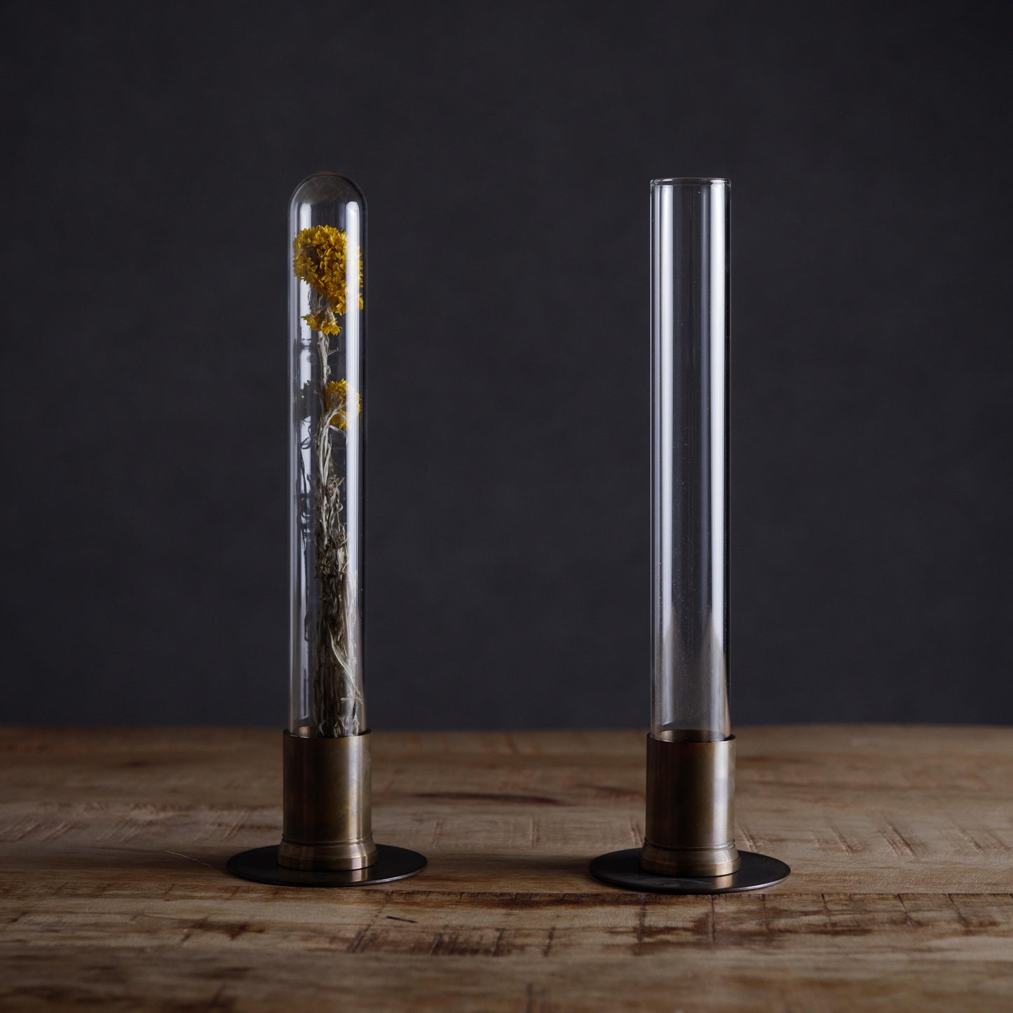 HERBARIUM BRASS GLASS DOME & FLOWER VASE RUST(ローダンセ)