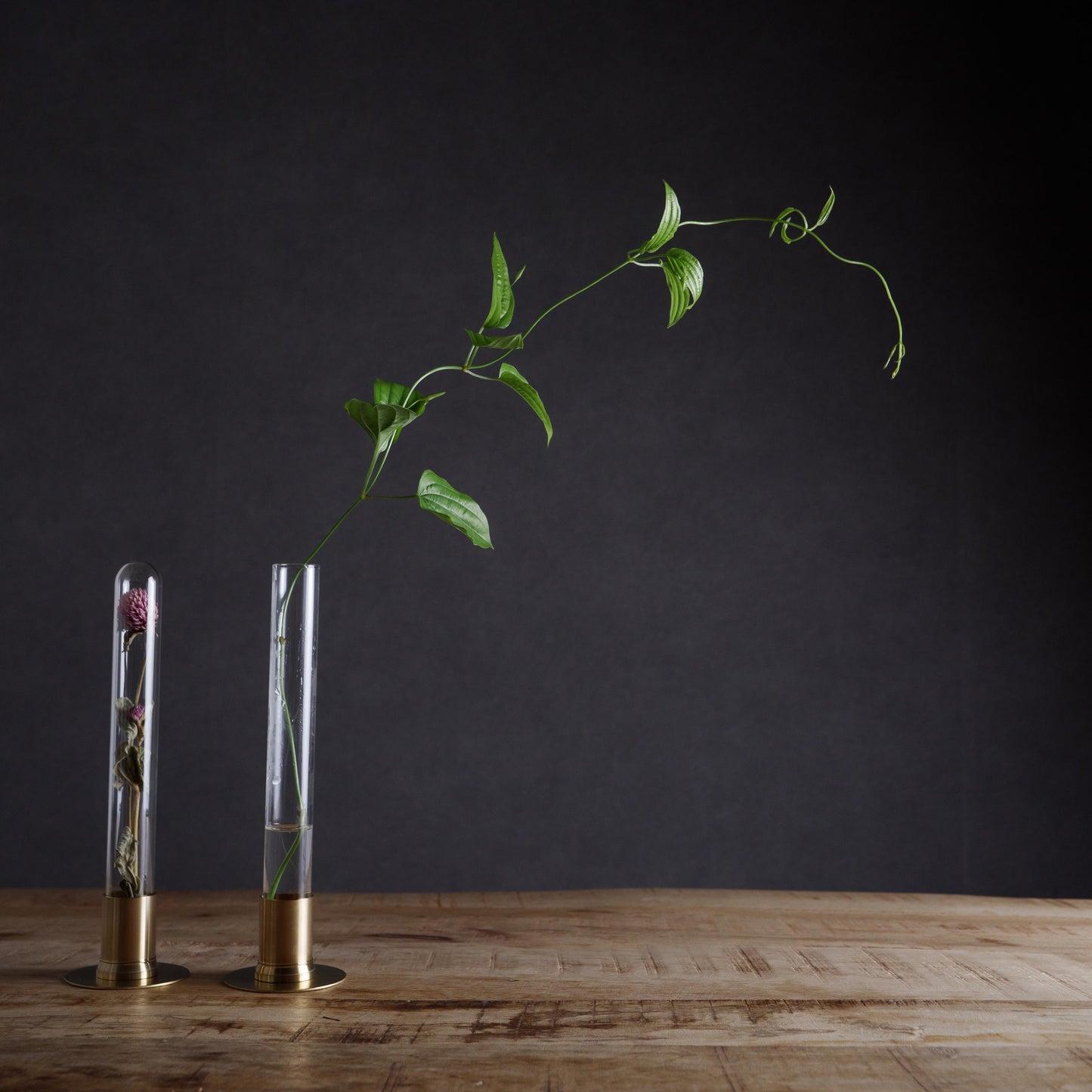 HERBARIUM BRASS GLASS DOME & FLOWER VASE SOLID(センニチコウ)