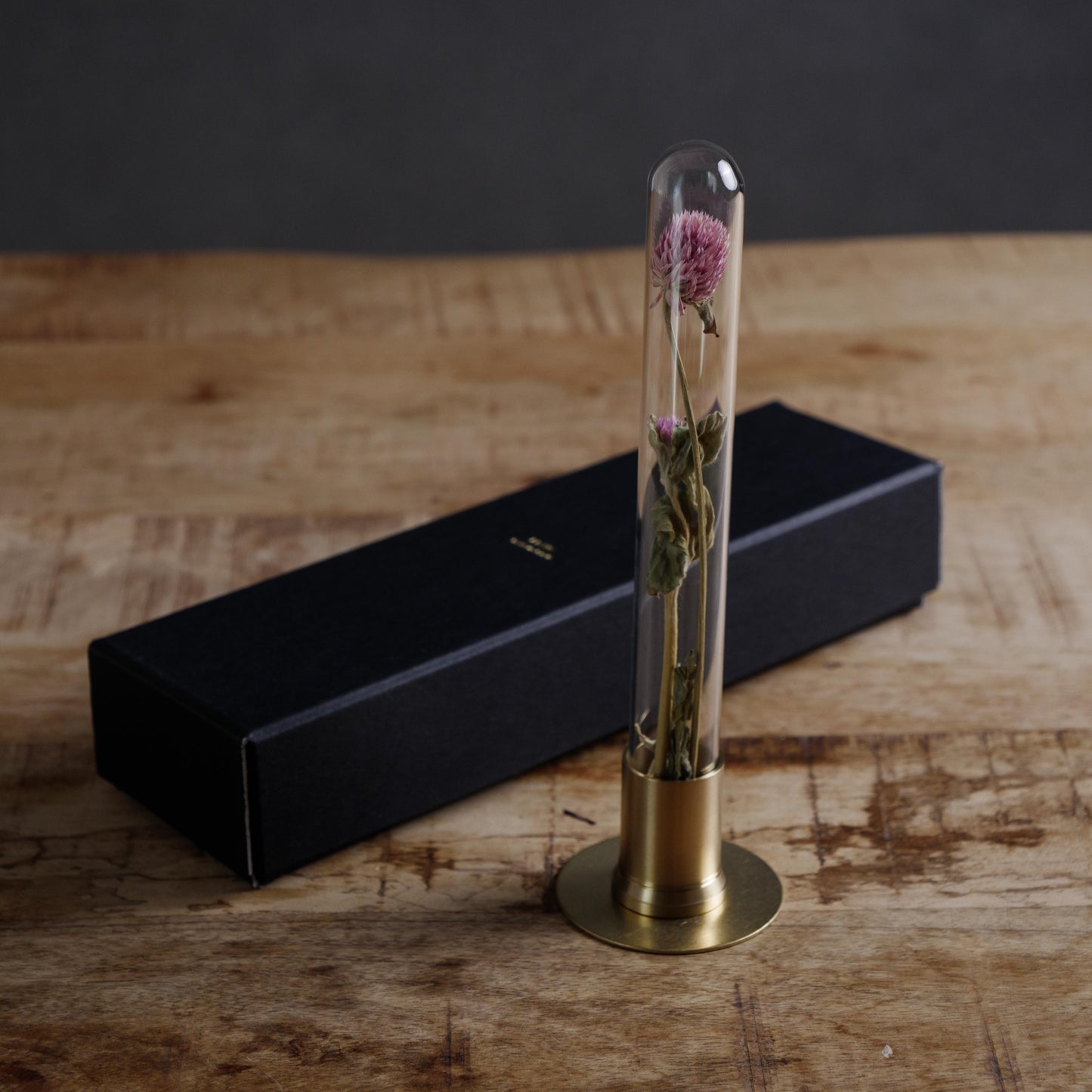 HERBARIUM BRASS GLASS DOME & FLOWER VASE SOLID(センニチコウ)