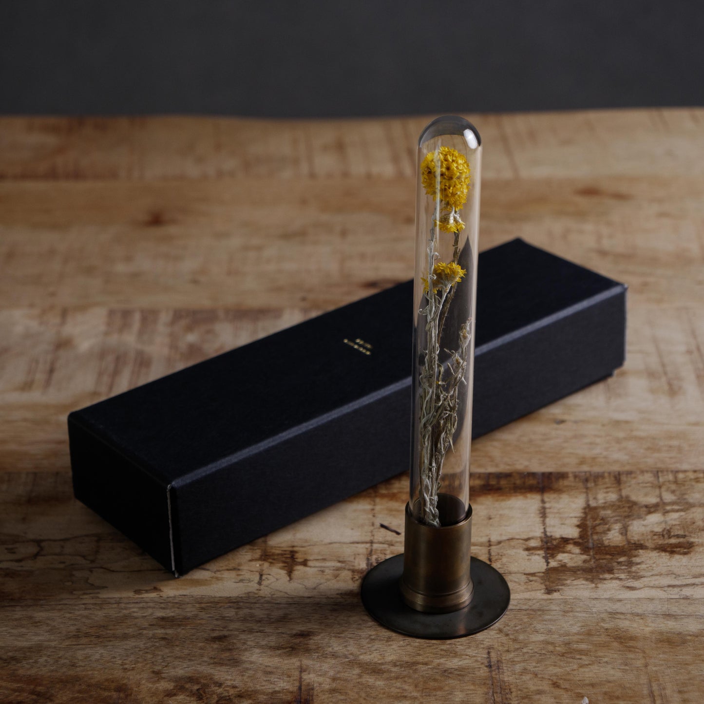 HERBARIUM BRASS GLASS DOME & FLOWER VASE RUST(ローダンセ)