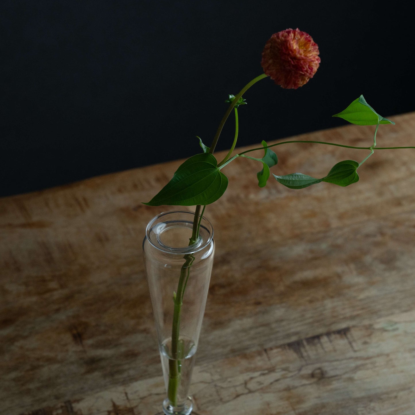 goblet ichirin 花をいけた使用イメージ