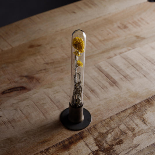 HERBARIUM BRASS GLASS DOME & FLOWER VASE RUST(ローダンセ) 斜め上から見た全体像