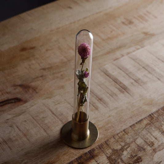 HERBARIUM BRASS GLASS DOME & FLOWER VASE SOLID(センニチコウ) 斜め上から見た全体像